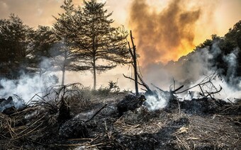 Оценка ущерба после стихийного бедствия в Смоленске: отчет оценщика